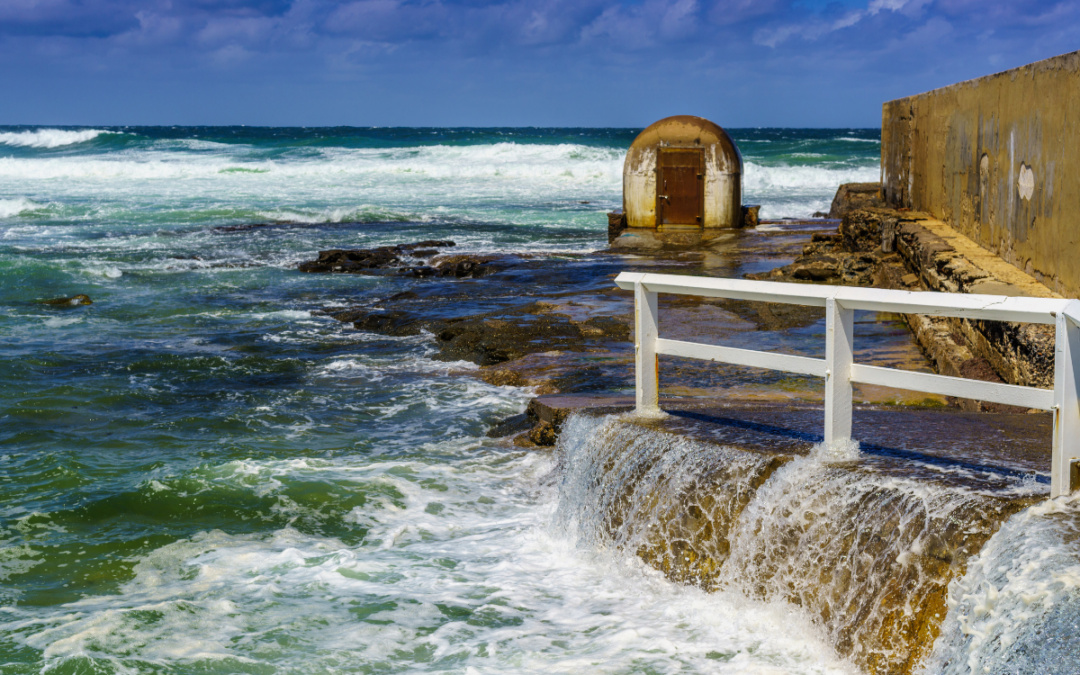 The Cost of Not Managing Risk – Organisations that missed the memo